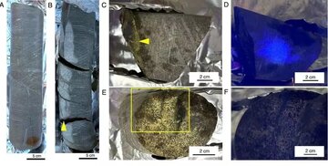 پیدا شدن موجودات زنده در سنگهای ۲ میلیارد ساله