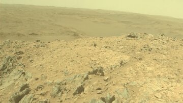 کشف موجود زندهای که میتواند در مریخ زندگی کند