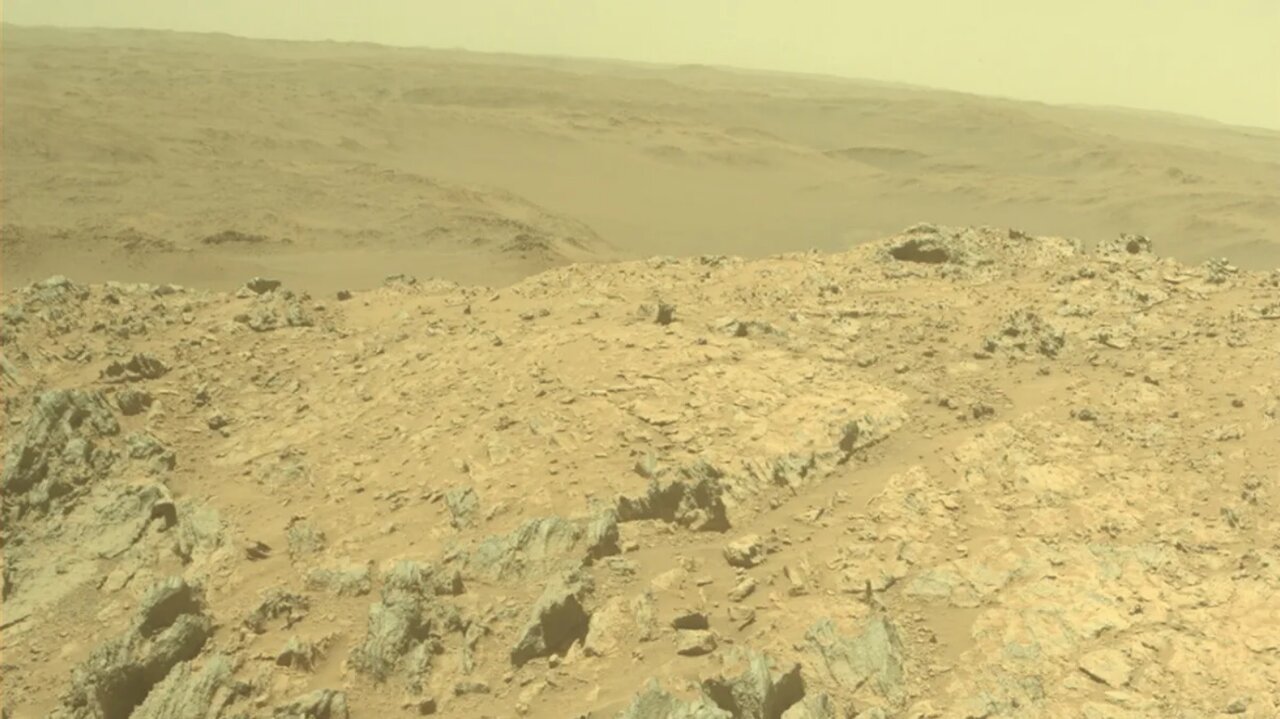 کشف موجود زندهای که میتواند در مریخ زندگی کند