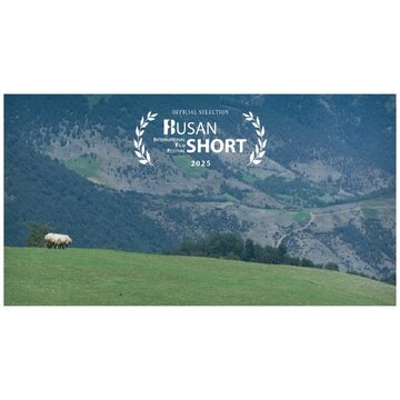 «گوسفند» به جشنواره «بوسان» کره جنوبی راه یافت