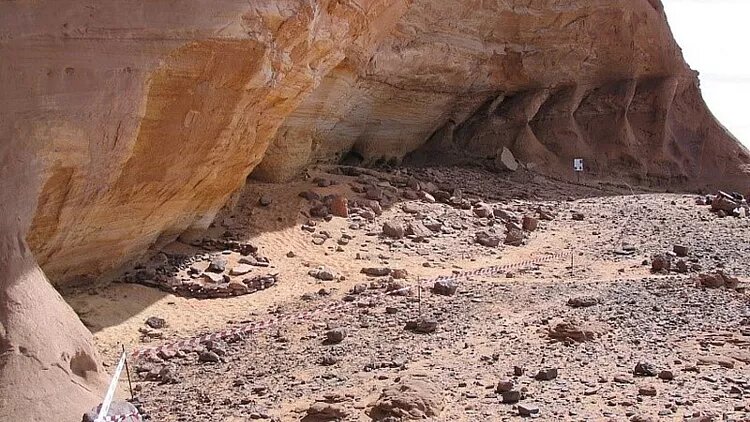 گونهای گمشده از تبار انسان پیدا شد/ مومیاییهای ۷ هزار ساله در «صحرای سبز»