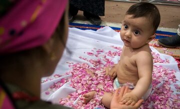 ۲۰ برنامه فرهنگی در جشنواره «گل غلتان» امیریه دامغان اجرا میشود