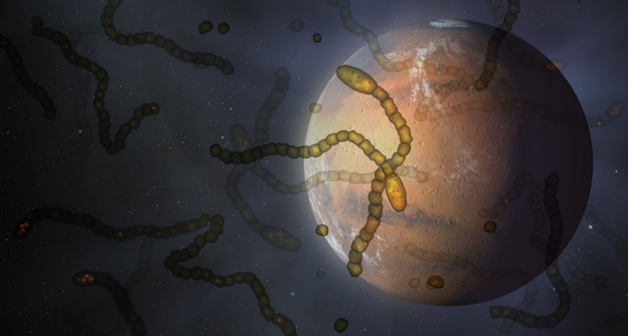 ۵۰ سال پیش حیات فرازمینی کشف شد و ما آنها را کُشتیم!