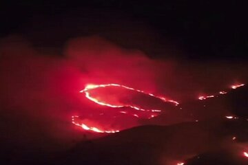 آتشی که به جان طائف عربستان افتاده است