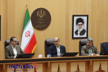 استاندار خواستار تشکیل اتحادیه چایکاران گیلان شد