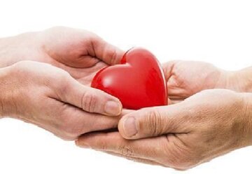 اعضای بدن نیمی از افراد دچار مرگ مغزی استان اردبیل اهدا می‌شود