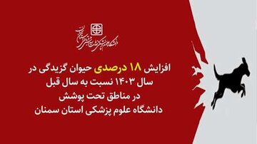 افزایش ۱۸ درصدی حیوان گزیدگی در سال ۱۴۰۳ نسبت به سال قبل در مناطق تحت پوشش دانشگاه علوم پزشکی استان سمنان
