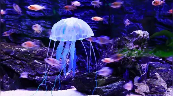 بازماندگان تاریخ جهان/ حیواناتی که از دنیای باستان زنده ماندهاند