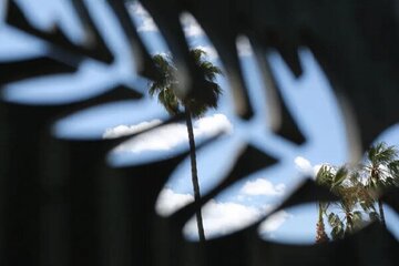 بازگشت گلشیفته فراهانی به سینما