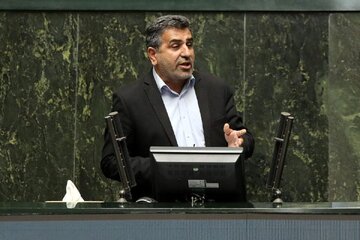 تذکر مجلس در مورد تاخیر پزشکیان در معرفی وزیر اقتصاد/ بابایی کارنامی: معرفی وزیر نباید به نیمه دوم خرداد موکول شود/ گودرزی: وزیر زودتر معرفی شود
