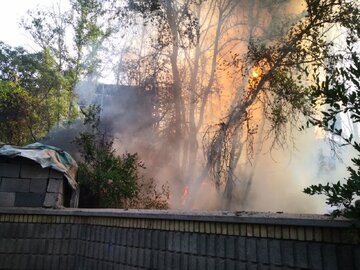 جلسه اضطراری بررسی ابعاد آتش‌سوزی در بلوارچمران شیراز