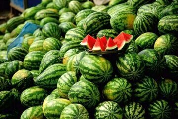جنگ هندوانهها در مسکو! / جنجالی به اسم هندوانه ایرانی ؛ دستگاهی که حاشیه ساز شد