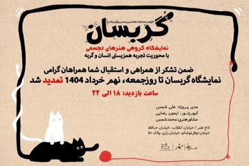 رابطه چندلایه میان انسان و گربه