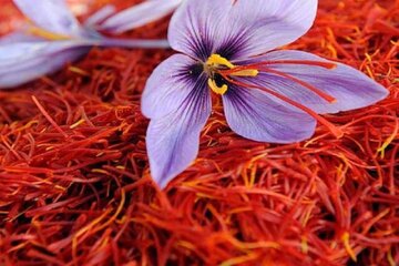 زعفران ارزان شد/ قیمت جدید زعفران را ببینید