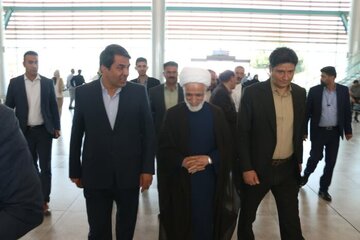 سفر معاون حقوقی رئیسجمهور به کرمان/ حضور مجید انصاری در زادگاهش