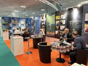 سینمای ایران در بازار کن ۲۰۲۵