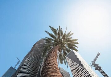 عربستان در حال ایجاد یک تحول شگفتانگیز است!