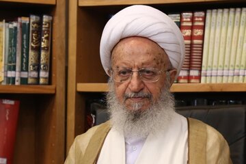 عکسی از دیدار مشاور رئیس جمهور با مرجع تقلید معروف