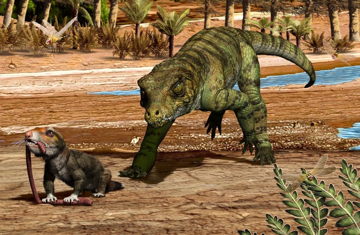 فسیلهای زنده/ راز بقای کروکودیلها در برابر رویدادهایی که دایناسورها را کشت!