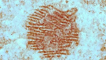 قدیمی‌ترین اثرانگشت‌ انسان پیدا شد / یادگاری از ۴۳ هزار سال پیش
