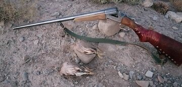 محکومیت ۳/۵ میلیاردی برای متخلف صید پرندگان در اردبیل