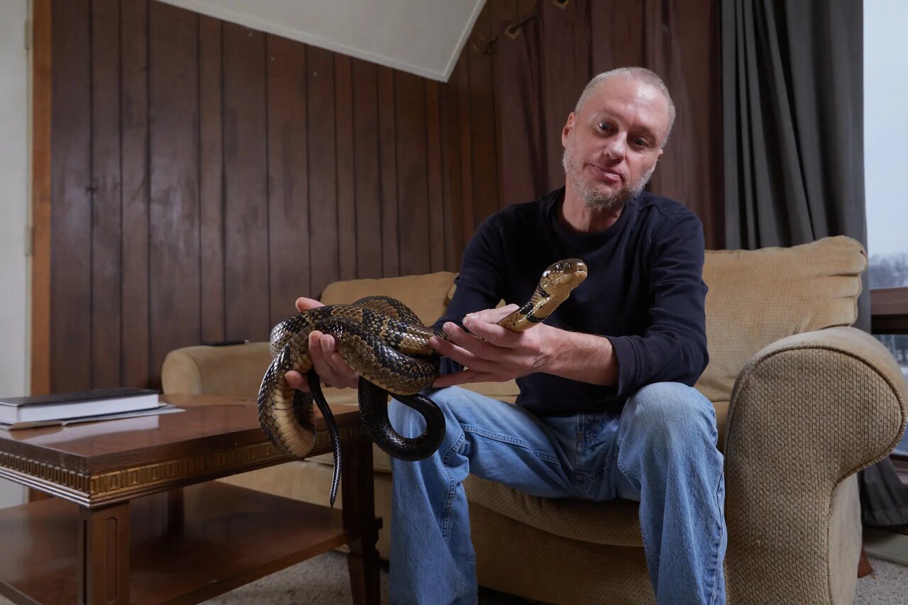 مردی که عاشق نیش خوردن است / طلاق به قیمت تولید پادزهر