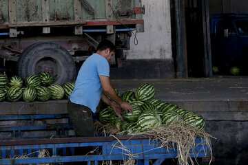 مهر پایان ماجراها و ادعاها درباره هندوانه صادراتی ایران به روسیه