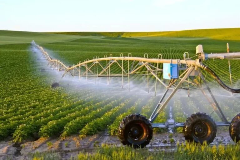 کشاورزی عربستان واقعا پیشرفته است یا با پول زیاد، پیشرفتهنمایی میکند؟
