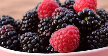 یک آخر هفته متفاوت در دل باغهای شاتوت طارم