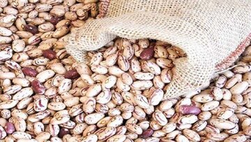 اختلاف قیمت ۲۰۰ هزار تومانی لوبیا چیتی در بازار و فروشگاه/ یک بسته بندی ۲۰۰ هزار تومان آب میخورد