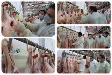 افزایش ۳۲ درصدی نظارت بهداشتی دامپزشکی در عید قربان خراسان رضوی