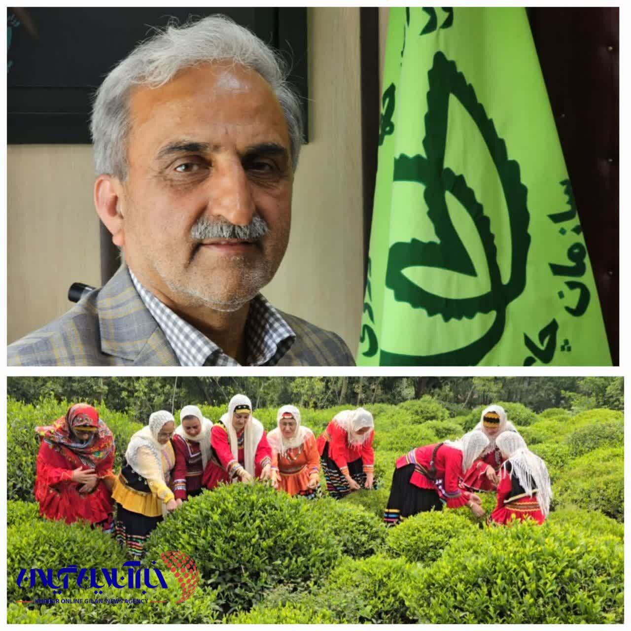 ص ص