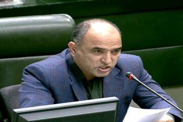 انتقاد تند یک نماینده مجلس از اظهارات همتی و میرسلیم/ عده‌ای در داخل با اظهارنظرهای بیجای خود به نظام ضرباتی می‌زنند
