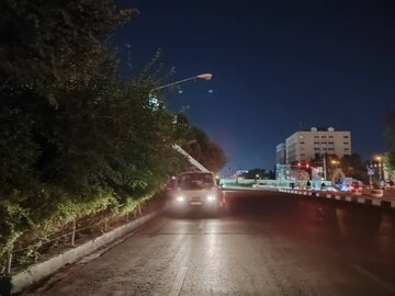 تامین برق پایدار در شادپیمایی غدیر شیراز