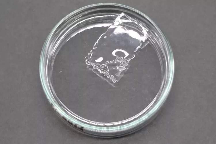 تحولی در صنعت پلاستیک: پلاستیکی که در آب دریا ناپدید می‌شود