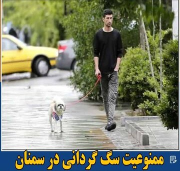 دستور دادستانی سمنان برای برخورد با سگ گردانی