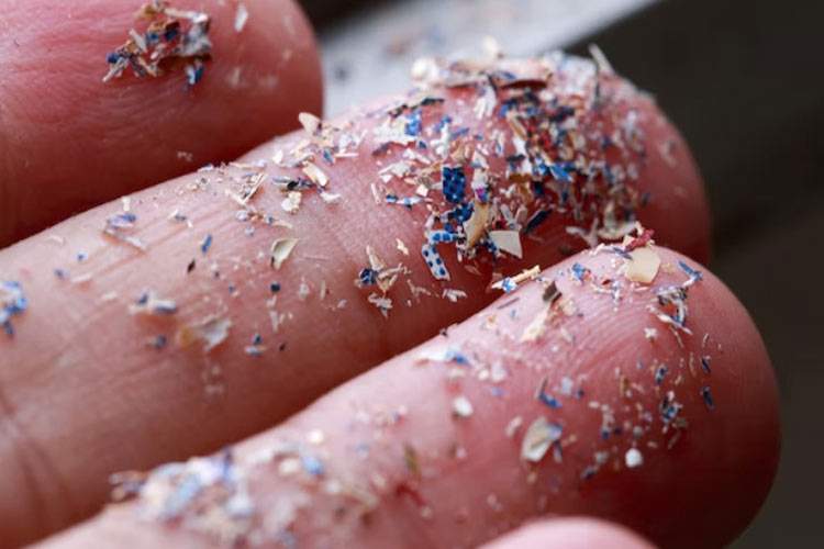 ریزپلاستیکهای موجود در مغز از غذاهای فوقفراوریشده میآیند؟