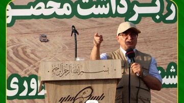 سرمایه گذاری ۱۲ هزار و ۵۰۰ میلیارد ریالی گروه توسعه ملی در کشت و صنعت پارس