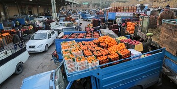 سیبزمینی و گوجهفرنگی به شدت ارزان شد/ قیمت جدید