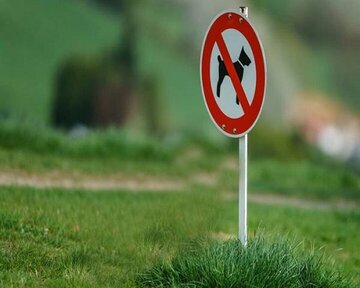 شهرداری مانع ورود حیوانات به اماکن عمومی شود