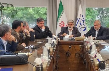 عزم نمایندگان استان برای استقلال برق و پتروشیمی اردبیل