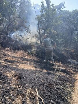 مهار آتش سوزی در منطقه حفاظت شده شاهو و کوسالان شهرستان سروآباد