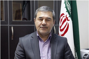 نتوانستهایم نقدِ بومی بسازیم