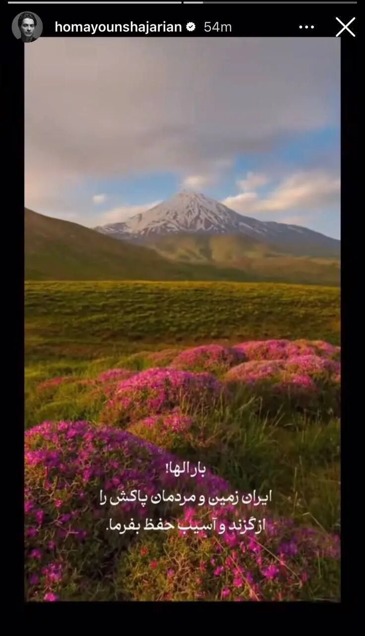 واکنش همایون شجریان به حمله به خاک ایران
