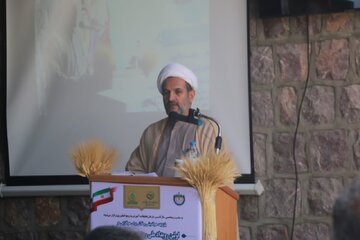 کشاورزان الگوی کشت را رعایت کنند