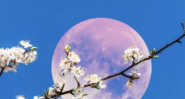 کمارتفاعترین ماه کامل دهههای اخیر در راه است /پدیدهای که هر ۱۸ سال یکبار رخ میدهد