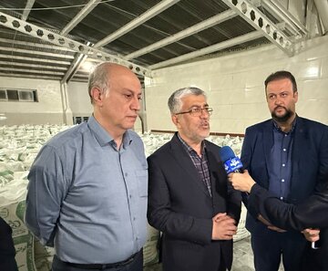 گندم و آرد مورد نیاز استان کردستان به صورت کامل تامین است