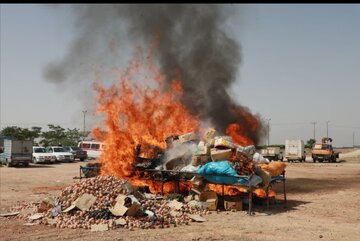 امحای ۱۰۰۰ کیلوگرم مواد مخدر در همدان