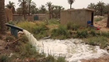تحقق وعده استاندار خوزستان؛ آب به نخلستان های خنافره شادگان رسید