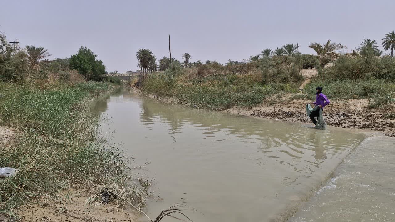 تحقق وعده استاندار خوزستان؛ آب به نخلستان های خنافره شادگان رسید
